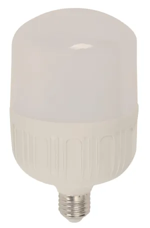 23420 E27 30W LED Bulb